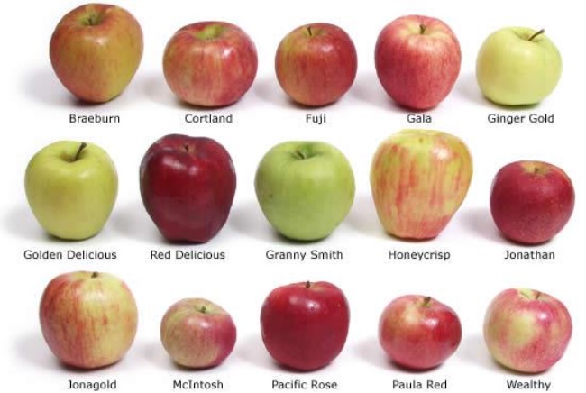 Яблоки цвет польза